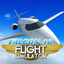 Falcon 10 Flight Simulator