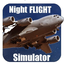 flight simulator night plane