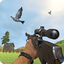 Pigeon Hunting & Shooting Game