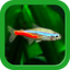 Tropical Fish Tank - Mini Aqua