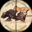 Animals Hunting Games Gun Game
