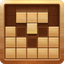 Wood Block Puzzle Classic