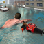 Flood Relief 911 Rescue Duty : Dog Simulator