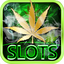 Lucky Weed – Free slots